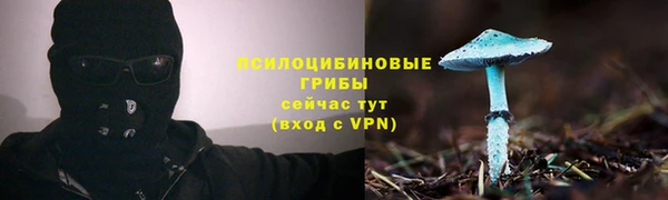 прущая мука Арсеньев