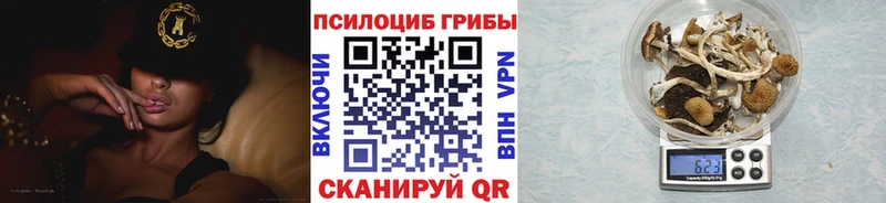 Галлюциногенные грибы Psilocybine cubensis  дарнет шоп  Зеленокумск 